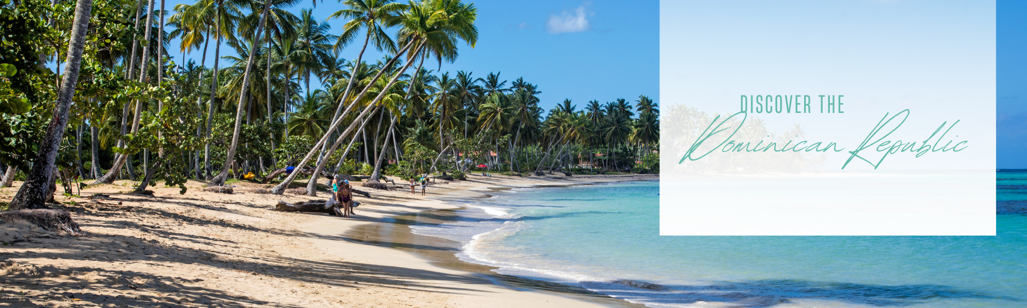 beautiful beach surrounded by palm trees in Dominican republic