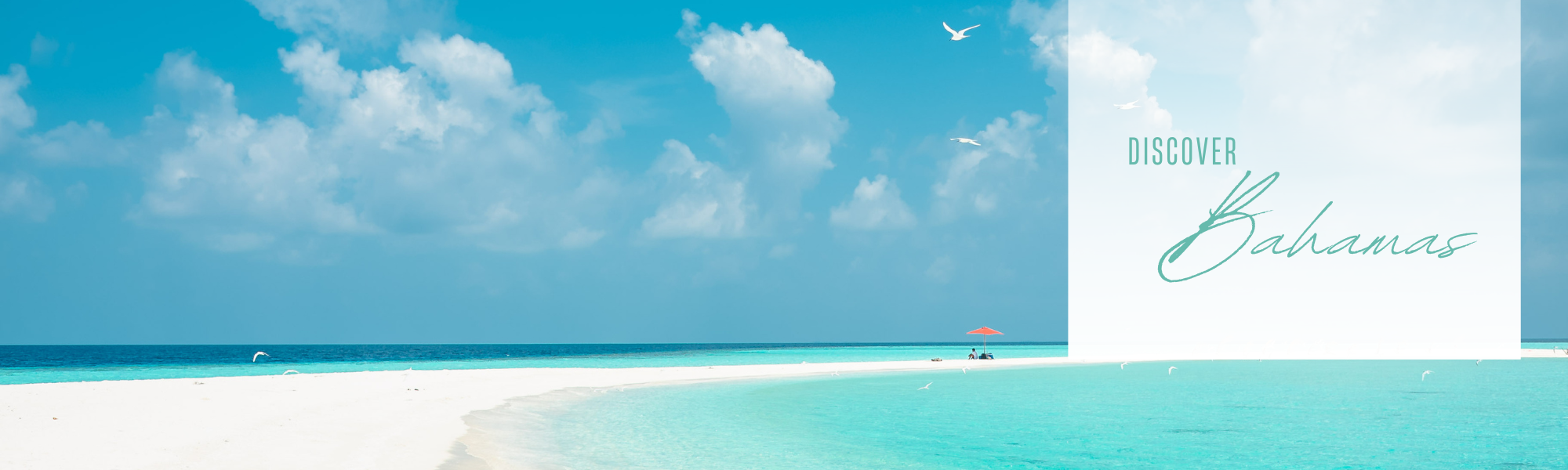 white sand beach in the bahamas