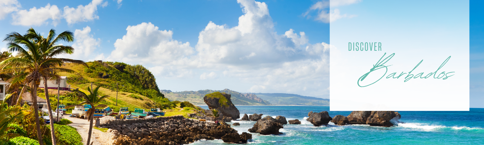 lush oceanside mountains on Barbados