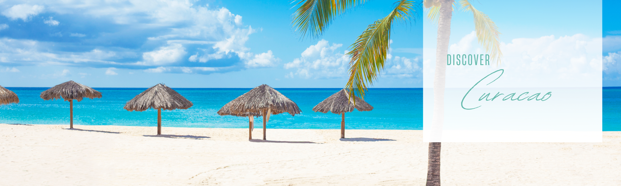 beautiful beach in curacao