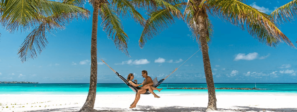 couple sitting in hammock between two palm trees on beach