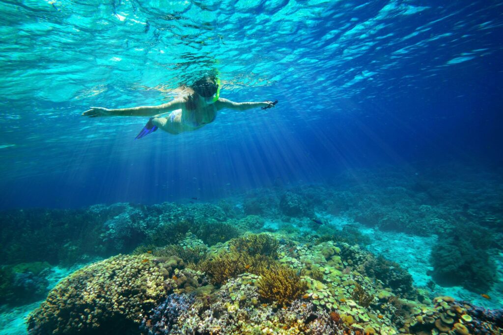 woman snorkeling at tropical reef in Netherlands Antilles