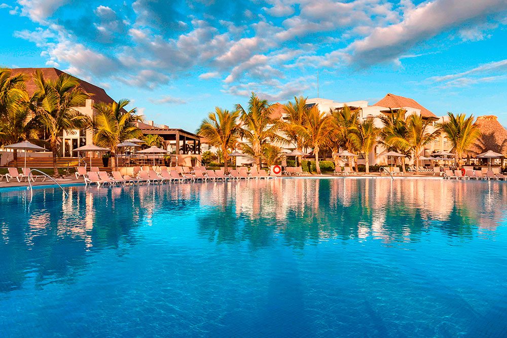 pool surrounded by palm trees