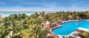 large pool surrounded by palm trees